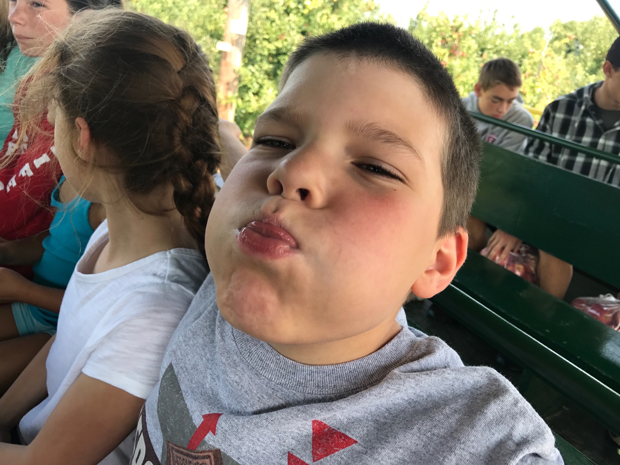 2017-09-10-apple-picking-03 photo