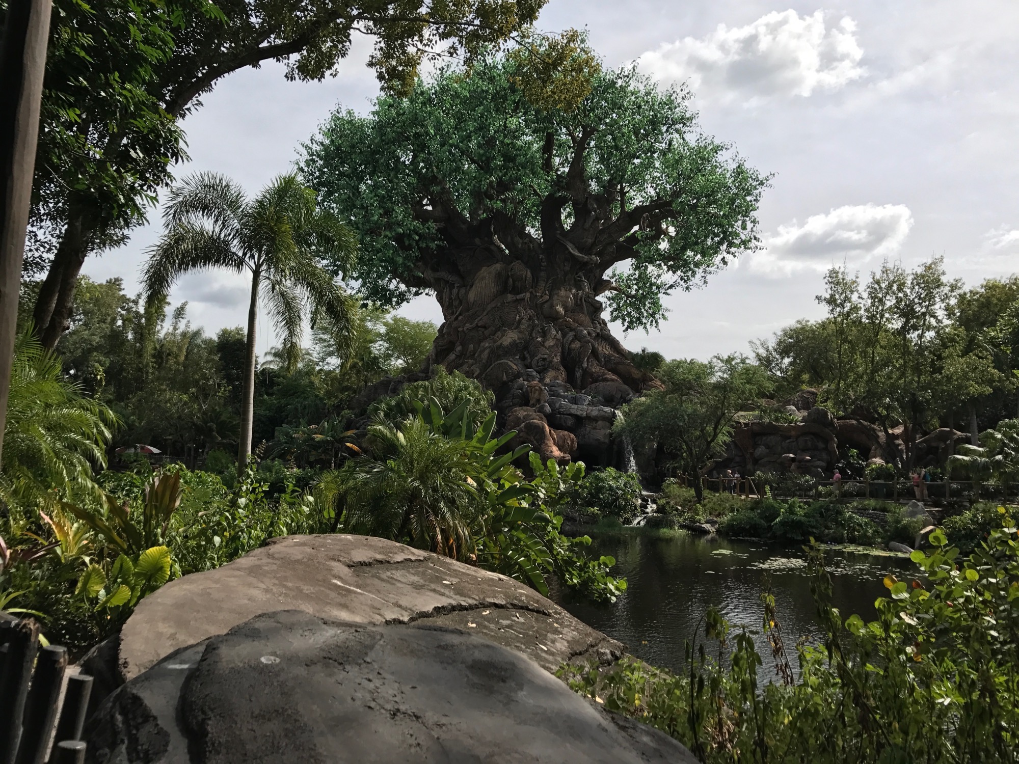 disney-trip-2016-118 photo