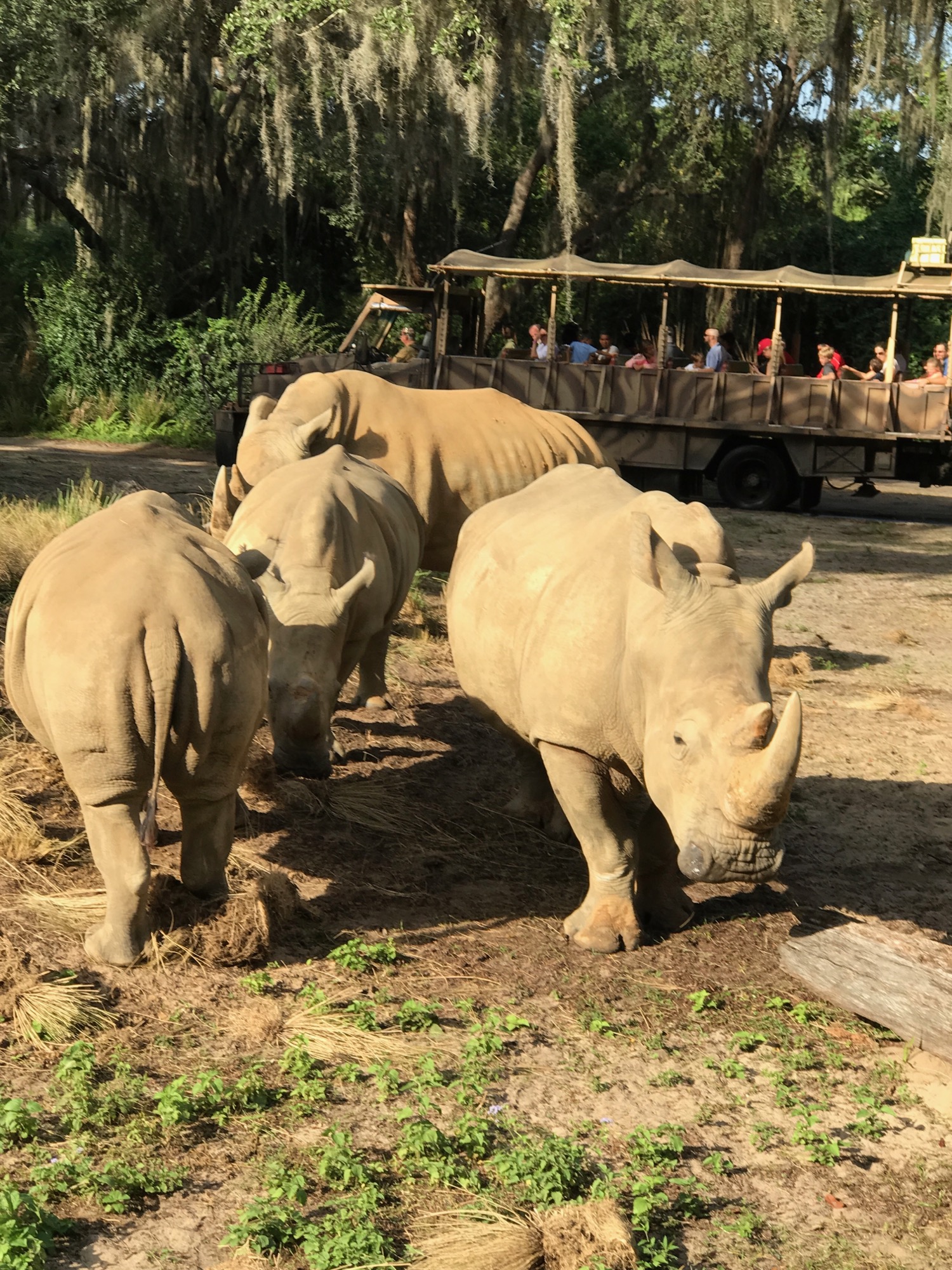 disney-trip-2016-101 photo