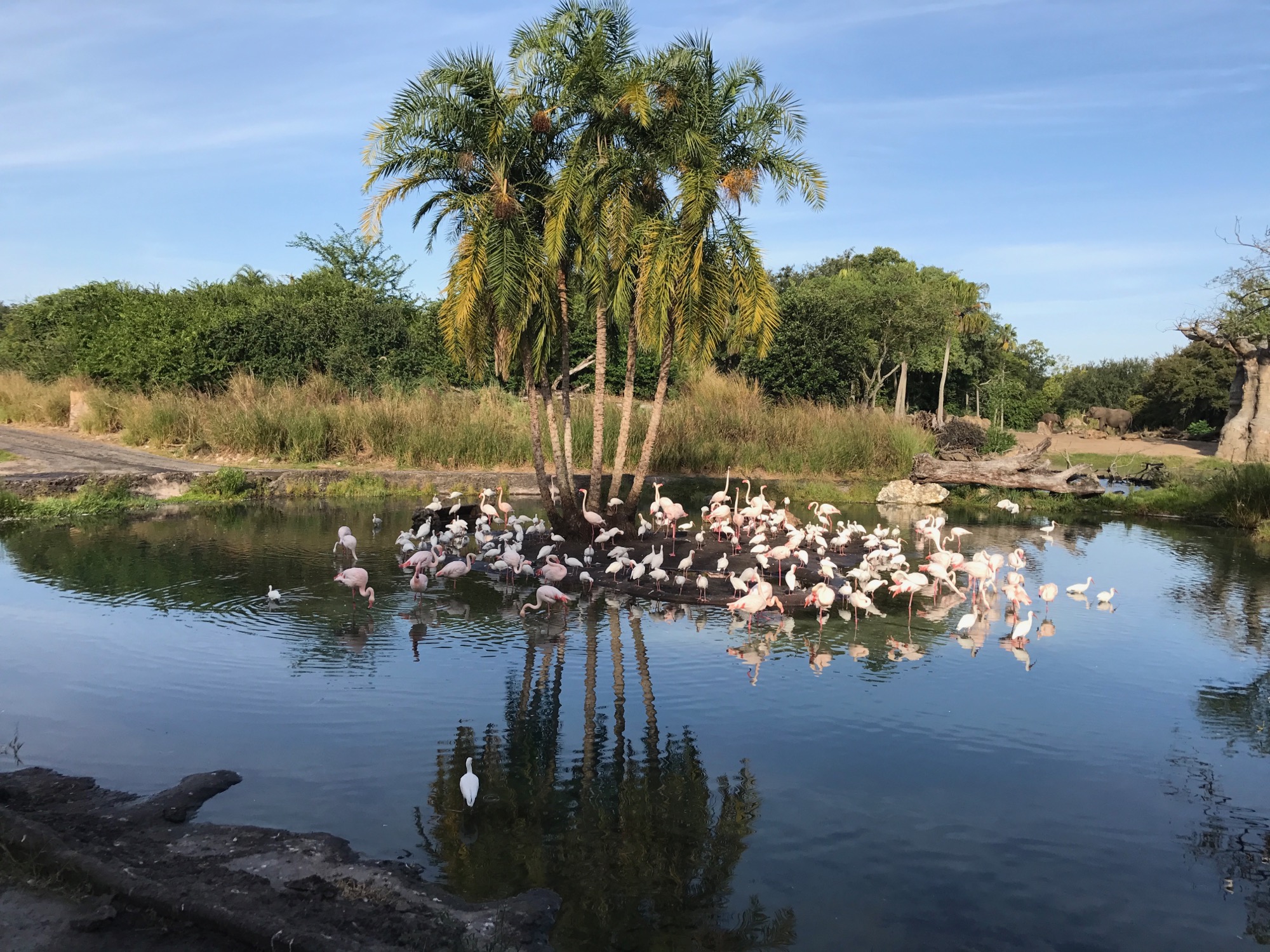 disney-trip-2016-95 photo