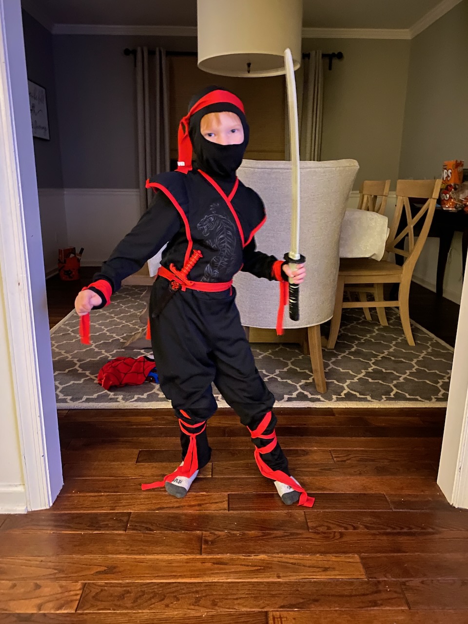 2020-10-31-halloween-ninja photo