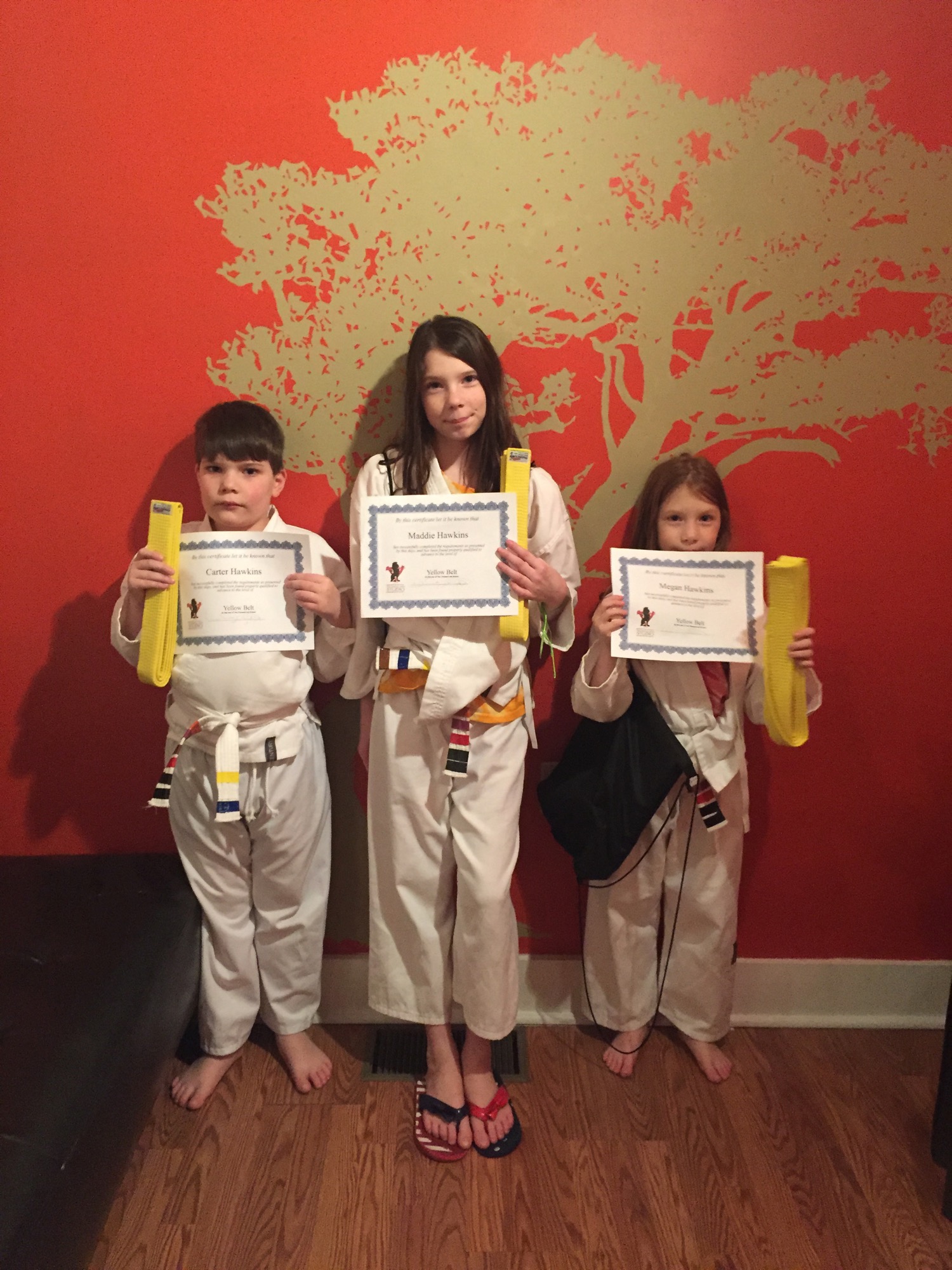 01-20-2016-karate-belts photo