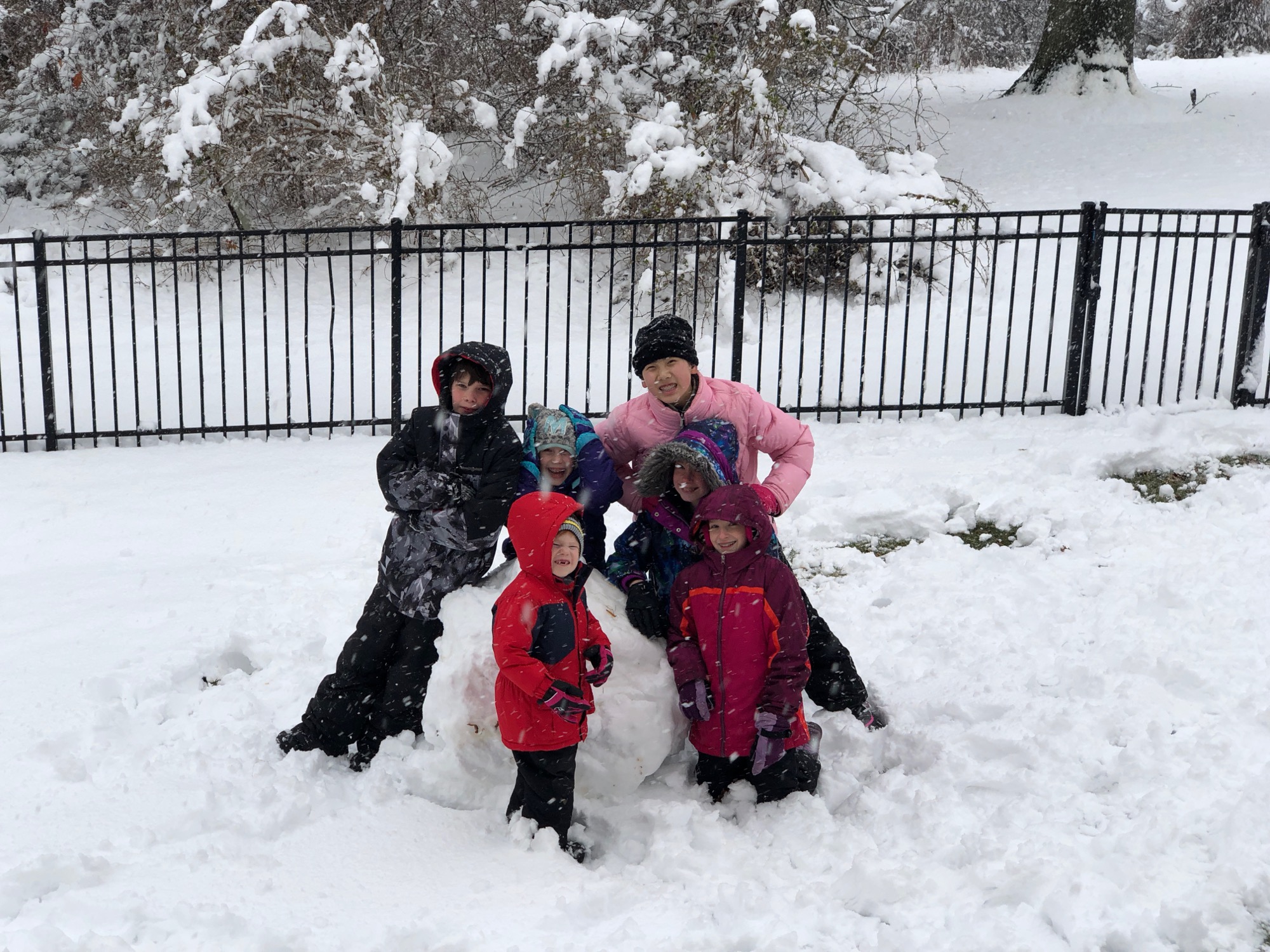 2018-03-07-snow-day photo