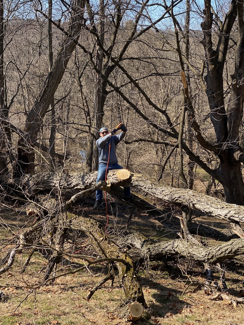 2020-03-08-timber-01 photo